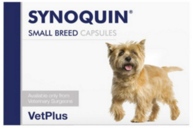 [벳플러스] 사이노퀸 소형견용 관절영양제 캡슐형 30캡슐, 1