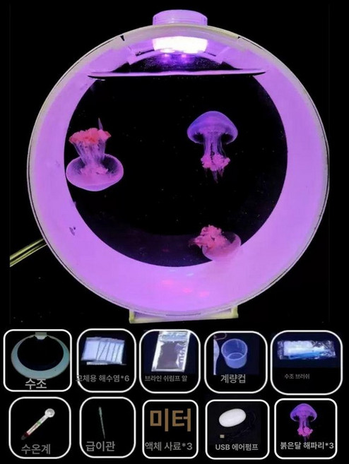 해파리키우기 미니어항 무드등 수족관 조명 세트, 1개, 수조+3개 레드문 세트