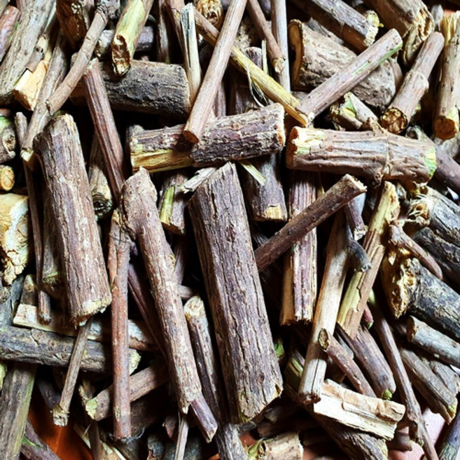 최상급 접골목 딱총나무 500g 국내산, 1개