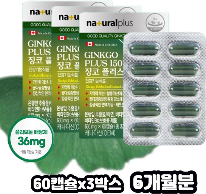 은행잎 비타민 b12 브레인 플러스 플라보놀 배당체 회사원 직장인 630mg x 3통 6개월 여자 남자 중장년 선생님 식물성 GINKGOBILOBA 병풀잎 산사 은행 마늘 추출물, 60정