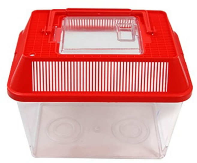 대일 사각 채집통(특대) 색상랜덤(레드 / 블루) 가로34 세로20.5 높이25, 5개