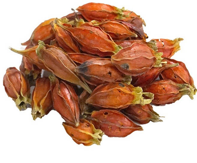 치자통(중국산 3kg), 3kg, 1개