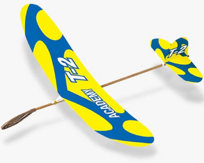 [선물완구]글라이더 T2 아카데미과학 18505 중급용, 1개