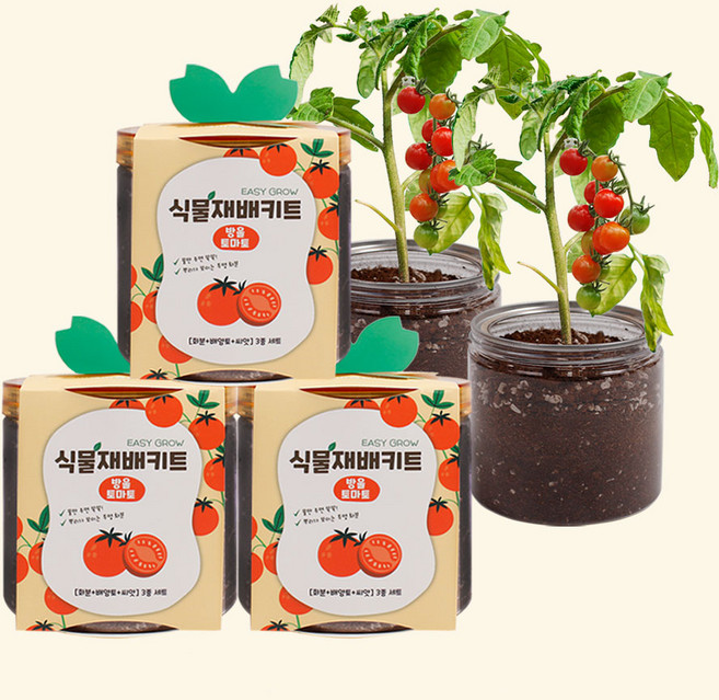 마마픽스 이지그로우 식물재배키트 3개 세트(11종), 재배키트-방울토마토3개