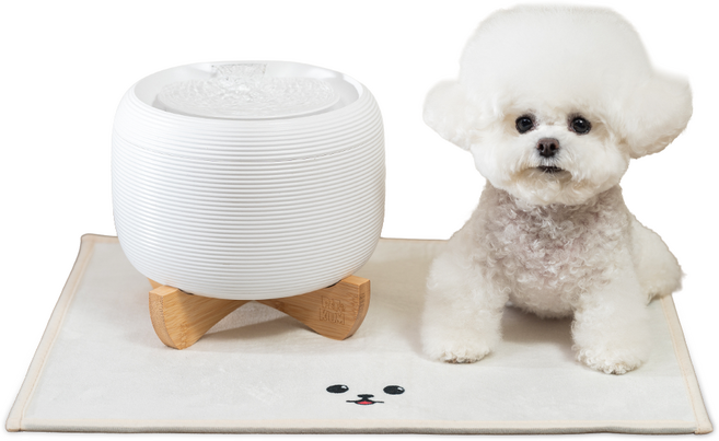 페키움 고양이 강아지 정수기 자동 급수기 저소음 올인원 세트, 페키움 자동 정수기 올인원세트 (멍멍이), 1세트