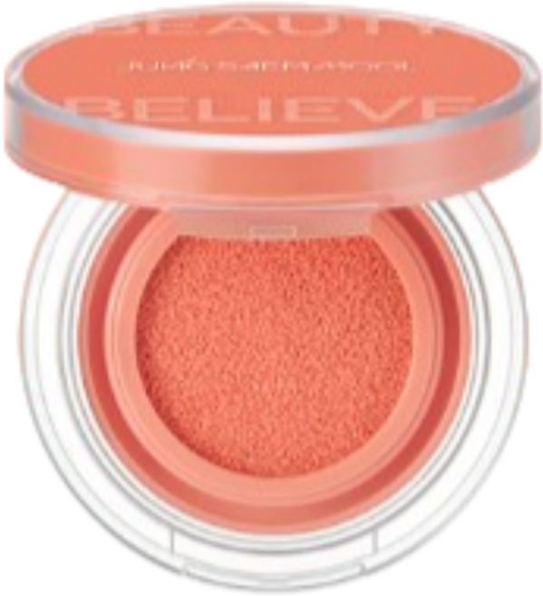 정샘물 아티스트 쿠션 블러쉬 4g, Dewy Coral 듀이 코랄, 2개