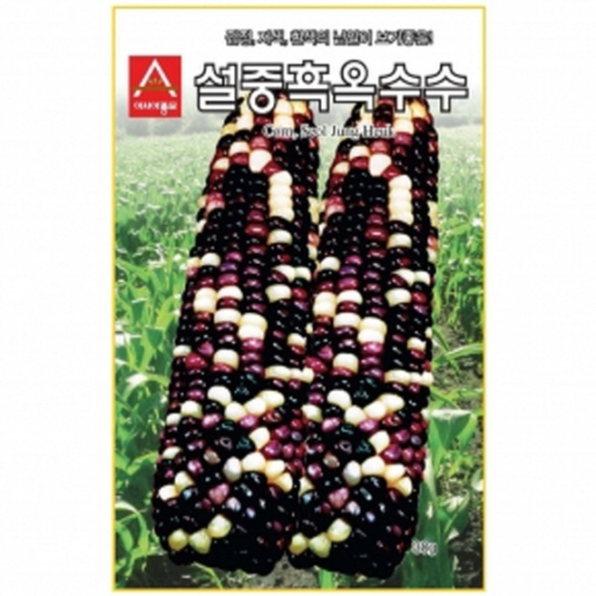 (옥수수종자씨앗) 설중흑(30g) ASA, 1개