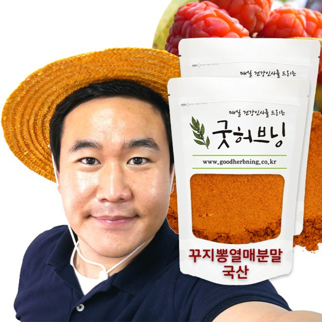 꾸지뽕 구찌뽕 구지뽕 열매 가루 분말 국산 250g 굿허브닝, 2개
