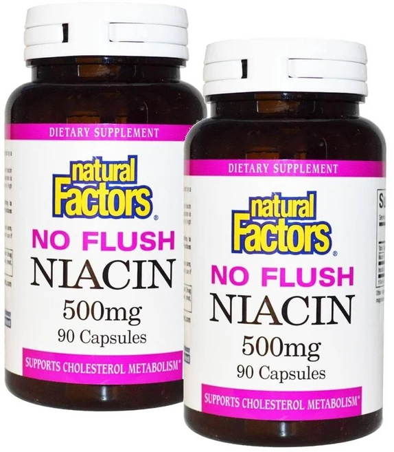 내추럴팩터스 니아신 500mg 노 플러쉬 Natural Factors No Flush Niacin, 2개, 90정 - 쿠팡