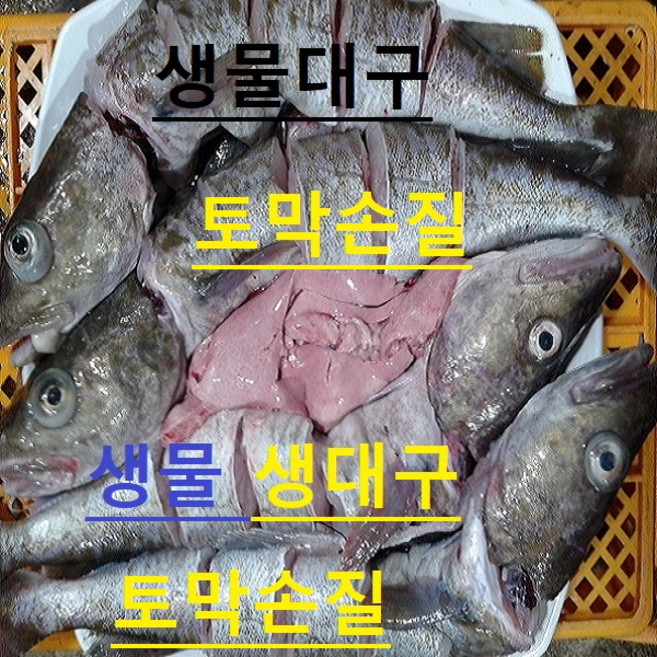 (쌍다리상회) 오늘생물 생대구 토막손질 500g-1.5kg 생물, 생물 생대구 토막손질 1k-1.5g 4-5 인용 생물, 1개