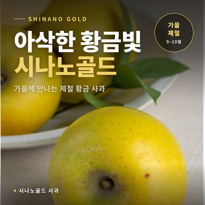 국내산 구매1위 시나노 골드 가정용 사과 초특가, 1개, 3kg