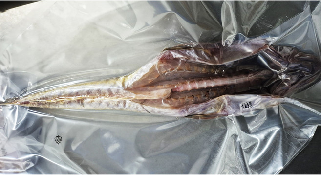 반건조 장대 양태 제수용 쫄깃담백한맛, 1개, 500g 내외