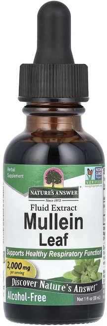 Nature's Answer 뮬레인잎 액상 추출물 알코올 무함유 2000mg 30ml(1fl oz), NaturesAnswer뮬레인잎액상추출물알코올무함유20, 1개, 30ml - 쿠팡