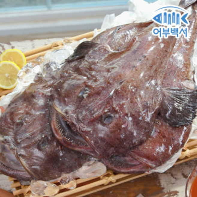 어부백서 국내산 통아귀 10kg 업소용, 1박스