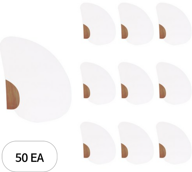 유니아트 종이 조개 부채, 혼합, 50개