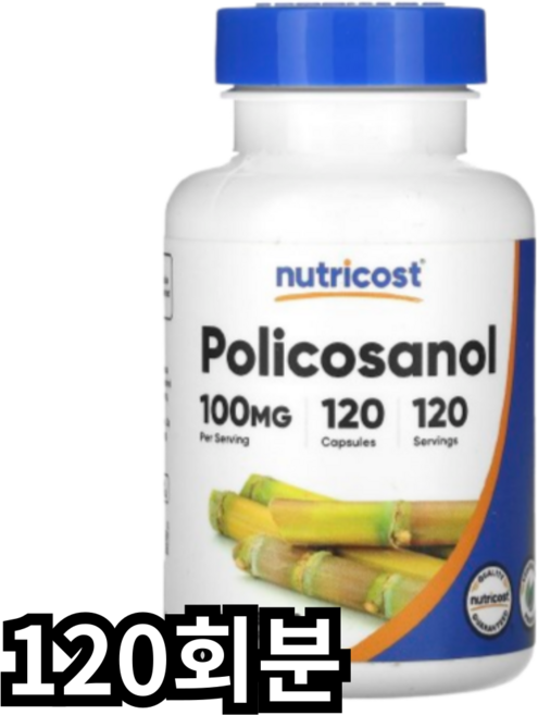뉴트리코스트 폴리코사놀 100mg 캡슐, 120회분, 1개