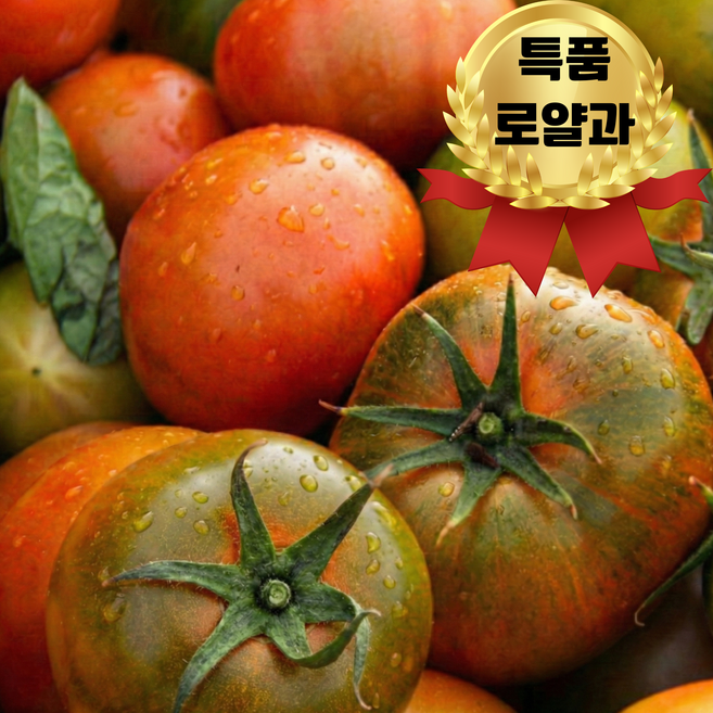 [한정특가] 특품 부산 대저토마토 짭짤이, 1박스, 특품 로얄과  1kg (3S-2S)
