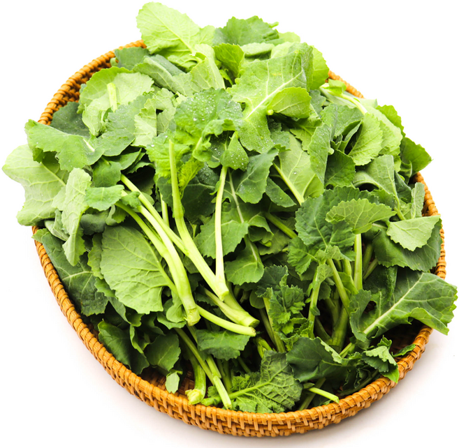 [슬기로운장터] 국내산 생 유채나물 삼동초 동초나물 신선한 겨울초 유채 200g 400g 1kg, 1개