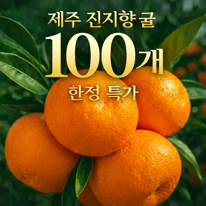 [마지막초특가]딱 50박스 한정 제주 진지향 감귤, 1세트, 대과5kg