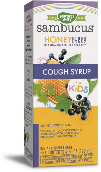 네이쳐스웨이 삼부커스 코프 시럽 허니베리 어린이비타민, 120ml, 1개