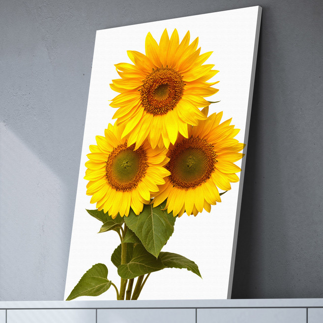 대성액자 돈들어오는 황금해바라기 캔버스액자, 2.흰배경 해바라기_2