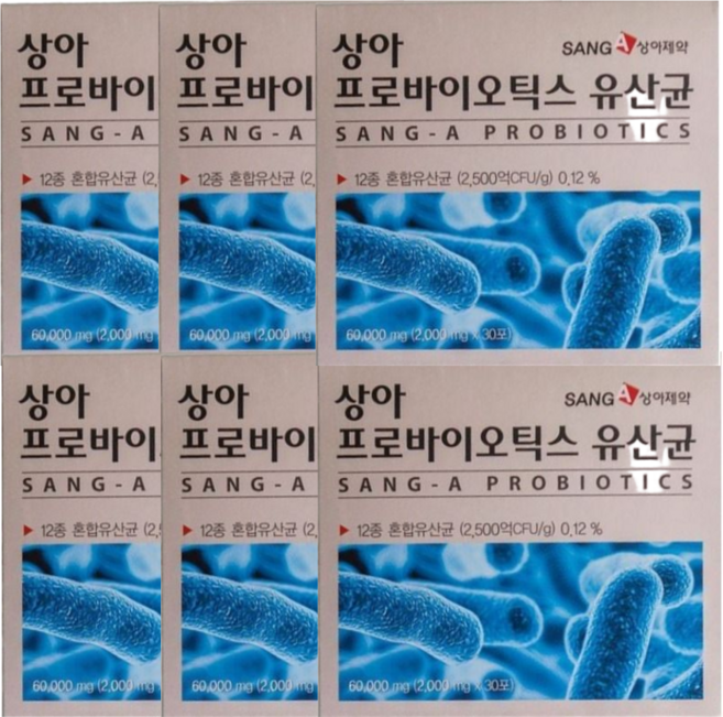 상아제약 프로바이오틱스 유산균 2 500억CFU/g, 60g, 6박스
