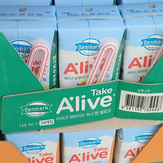 [동원] 덴마크 테이크얼라이브 망고 24개입 + 머스캣청포도 24개입, 48개, 120ml