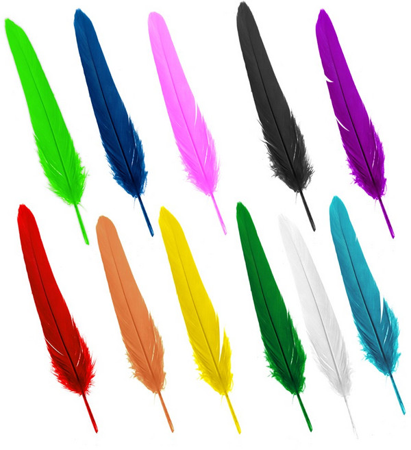 거위깃털(소) 칼라(약 50개) 혼합( 약 55개) 깃털 새깃털 칼라깃털 소품만들기 꾸미기재료, 거위깃털(소)-흰색, 1개