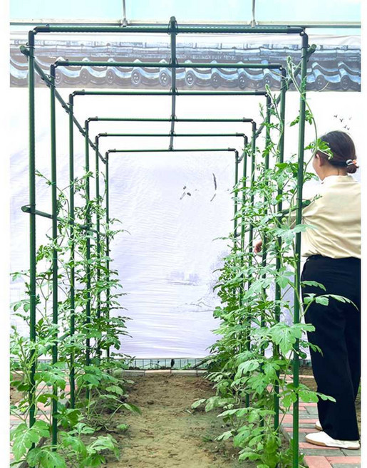 넝쿨 지지대 포도나무 온실 오이 토마토 텃밭 호박, 두께11mm 60x180x180cm, 1개, 60x180x180cm