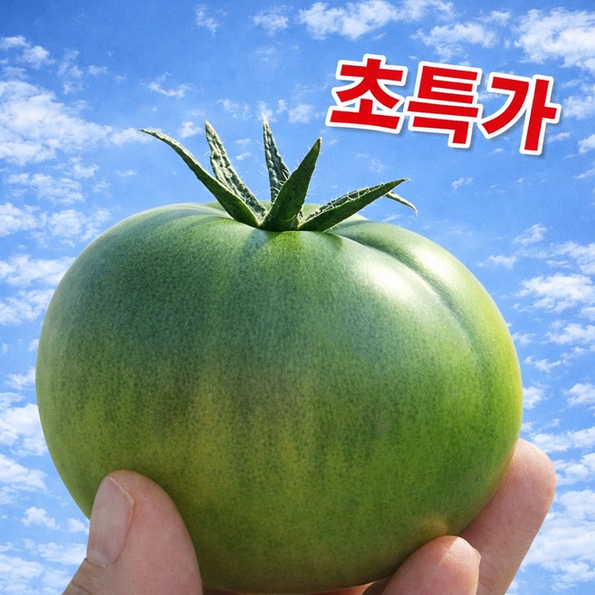[단독초특가] 50박스선착순 부산정품 단짠단짠 대저토마토, 1박스, 2.5kg(S-2s)