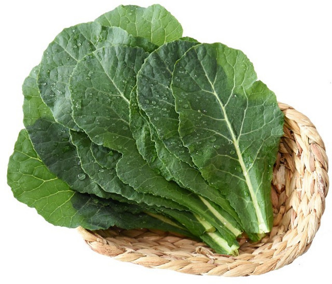 친환경팔도 유기농 쌈케일, 1박스, (케일)1kg