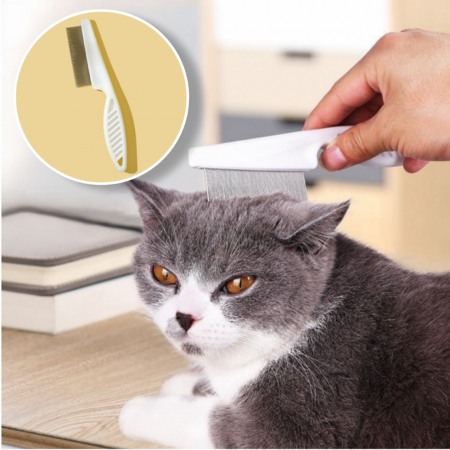 D 반려동물 위생 눈꼽빗 스테인리스 이물질 제거 강아지 고양이 겸용 애견, 1개, 상세페이지 참조