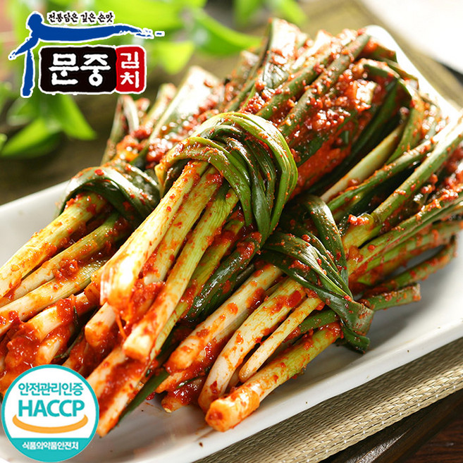 엄마마음 문중김치 국내산 100% 별미김치 파김치, 1kg, 1개