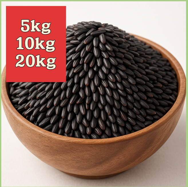 2025 햇곡 담백한 식감 국산 흑진주 진흑미 메흑미 멥쌀흑미 검은진주 5키로 10키로 20키로 찰기가 덜해요 흑미 검정쌀 검은쌀 블랙푸드, 1개, 10kg