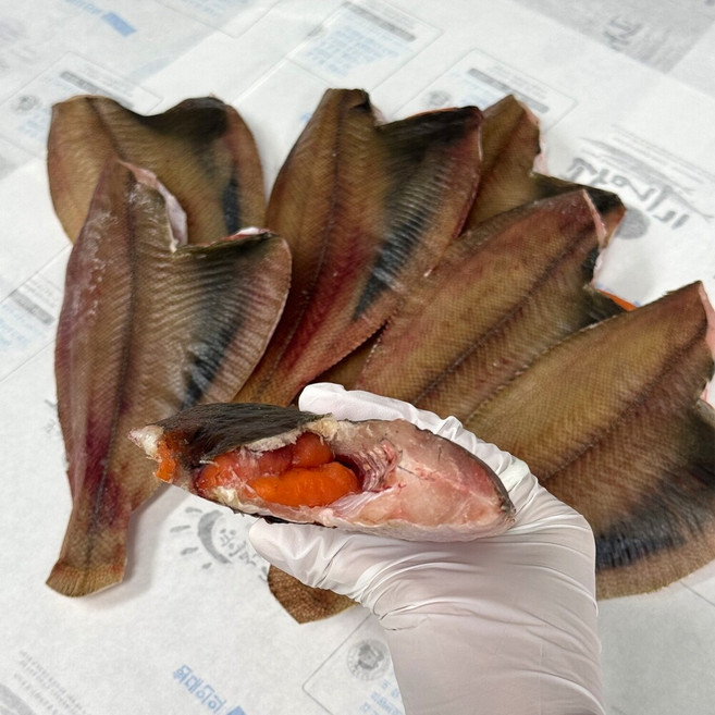 지구마을 국내산 동해안 반건조 손질 알가자미, 1개, 4미 1kg