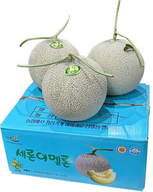 유나네농장 고당도 머스크 세지 메론 3수 4수 5수 6수 멜론 선물세트, 1개, 5KG, 02_세지메론/파란색박스/3-4수(5KG)