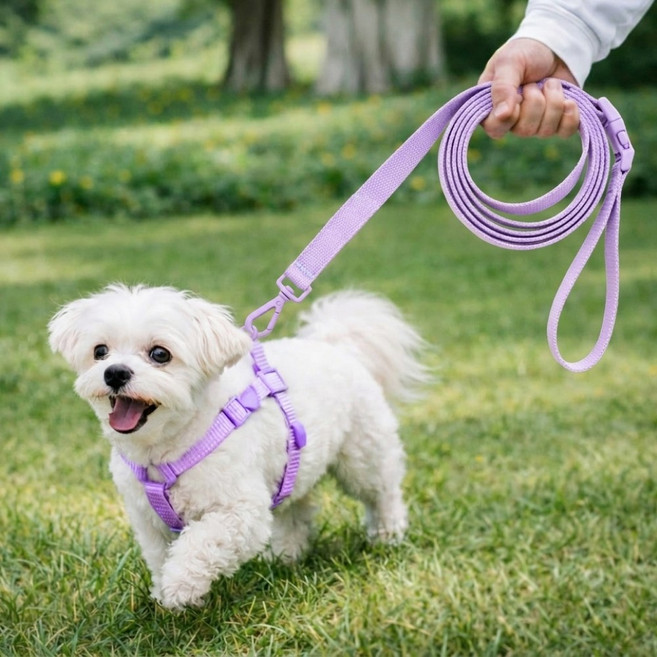 펫트리움 핸즈프리 리드줄 2.5M 산책용 강아지 목줄, 아이보리, 1개