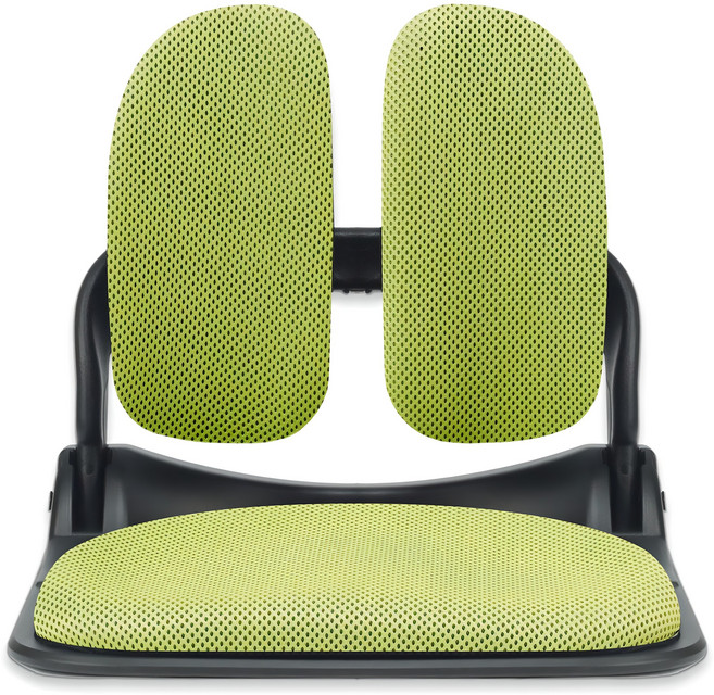 체어클럽 이편한 블랙프레임 접이식 듀얼 좌식의자, 그린