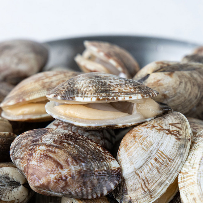 봄제철 왕바지락 남해 고흥 조개, 1개, 2kg, 단품