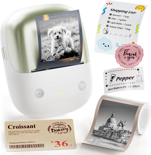 Niimbot B2포토(Pro) 듀얼컬러 라벨프린터, 1개, B2포토(Pro)그린+포토인화지 SNS