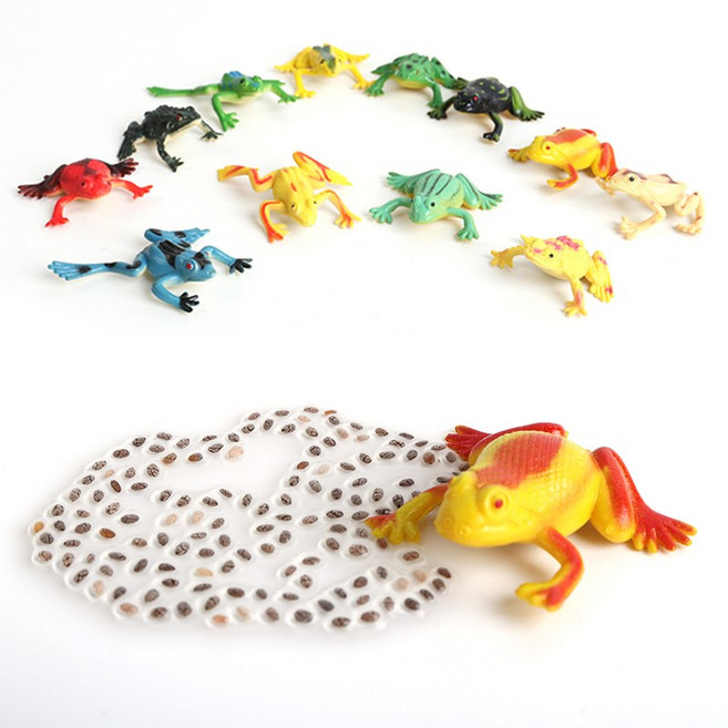 개구리 피규어5P+개구리알(치아씨드) 세트 / 곤충 성장과정 모형 관찰교육 테라리움 꾸미기 장난감, 1세트