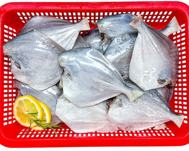 농가살리기 서남해 조림용 손질 덕자 병어, 1개, 1kg (7~10마리 내외)