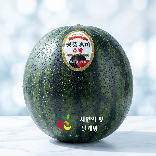 아삭한 식감 진한 단맛 고창 하우스 흑수박 8kg 이상, 1개