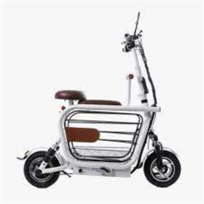 핸디라이프 이디뚜뚜 반려견과 함께타는 전기스쿠터 전동스쿠터 당일배송, 스틸, 배터리 15A 포함(45km 주행가능)