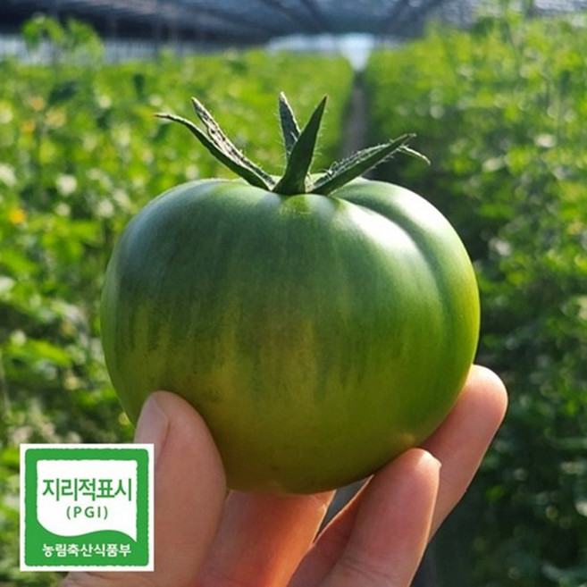 (산지 직송) 대저 짭짤이 토마토, 1박스, 2.5kg(S, 2S 짭짤이 O)