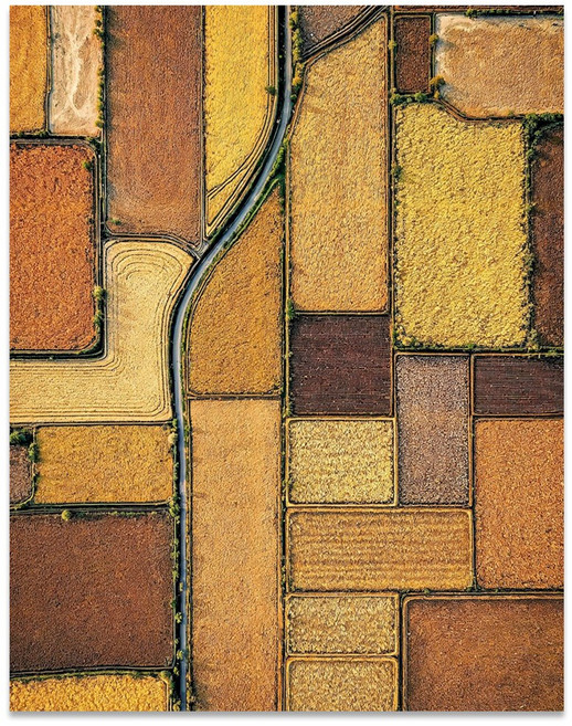 오행에 맞는 그림 자석 풍수지리, 토-대지의패턴