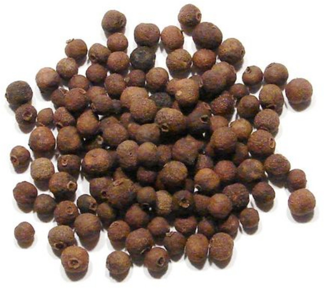 Allspice Berries Whole - 1/2 Pound ( 8 ounces ) - Dried Whole Jamaican Allspice by Denver Spice, 1개, 907.18g