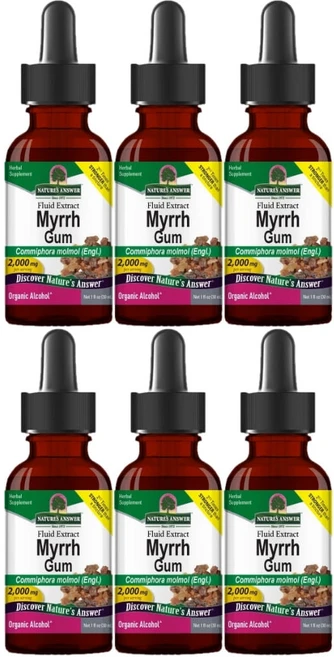 네이처스앤서 고흡수 몰약 검 2000mg 액상 액체, 6개, 30ml - 쿠팡