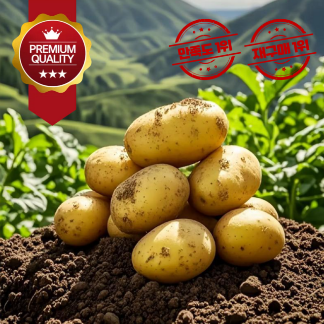 26년 국내산 햇감자 수미감자 농장직송, 1개, 4kg(중)