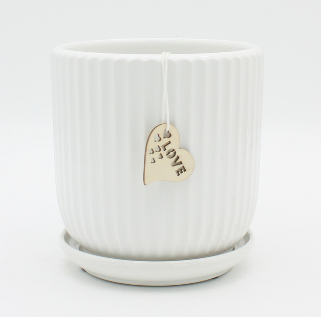 그린데이 플리츠디자인 유광화이트 화분 모던 인테리어 공간연출 분갈이 미니 정원, 1개